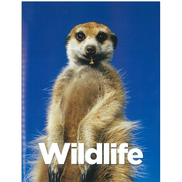 Wildlife The greatest photographs
